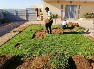 We do supply and installa call type of national grass