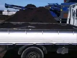 GREEN AND FRESH GRASS STRAIGHT FROM THE FARM  WhatsApp number 0672707801 PROFESSIONALS WITH IMMENSE