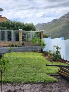 Roll on lawn Kikuyu grass