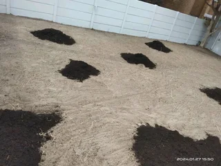 Roll on lawn buffalo grass