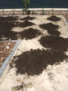 Roll on lawn buffalo grass