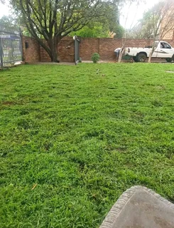 We do supply and installa buffalo grass