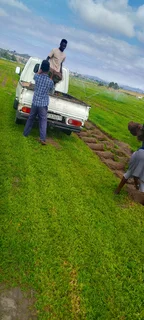 Delivery and installa call type of national green grass