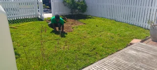 Delivery and installa call type of national green grass