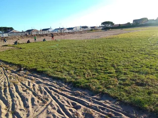 Roll on lawn Lm Berea grass