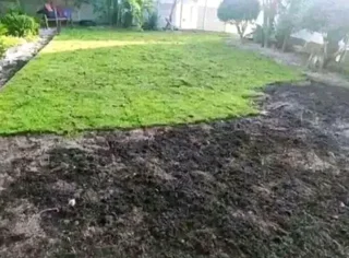 Supply and installa buffalo grass and compost &amp; lawn dressing