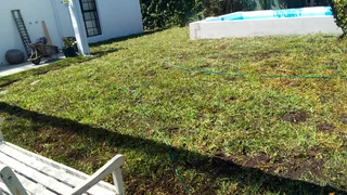 Supply and installa buffalo grass and compost &amp; lawn dressing