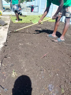 Supply and installa buffalo grass and compost &amp; lawn dressing