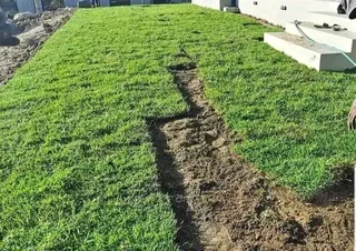 Roll on lawn Kikuyu grass and buffalo grass