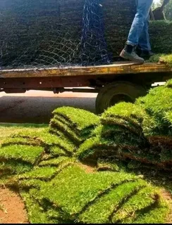 Hi. we do supply and installa call type of national grass