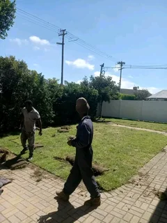 Hi. we do supply and installa call type of national grass