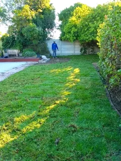 Roll on lawn Lm Berea grass and Kikuyu grass