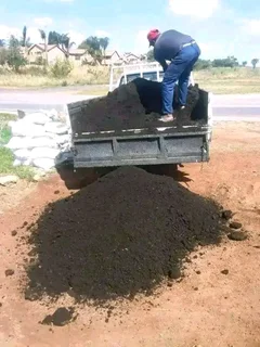 Roll on lawn Lm Berea grass and Kikuyu grass