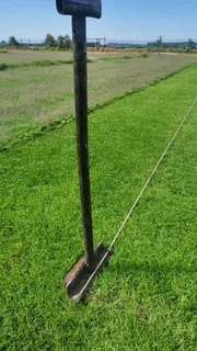 Fresh grass call Cynadone grass and buffalo grass