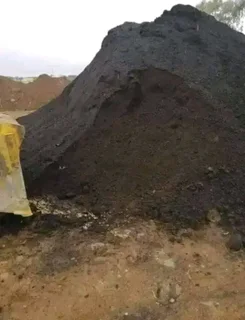 Fresh grass call Cynadone grass and buffalo grass