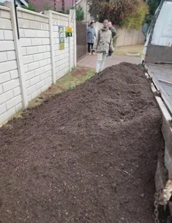 Fresh grass call Cynadone grass and buffalo grass