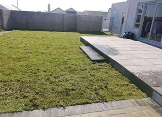 Roll on lawn Kikuyu grass