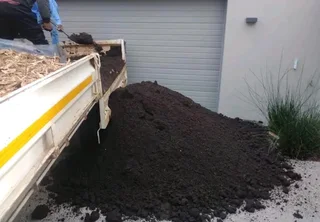 Roll on lawn Kikuyu grass