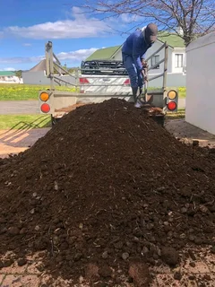 Roll on lawn Kikuyu grass