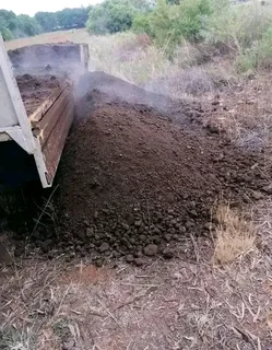 Roll on lawn Kikuyu grass