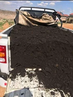 Delivery and installa. Cynadone grass and Kikuyu grass weed free