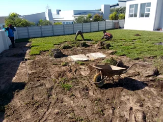 Roll on lawn Kikuyu grass and