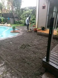 We delivery and installation Kikuyu grass and buffalo grass