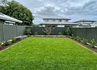 We delivery and installation Kikuyu grass and buffalo grass