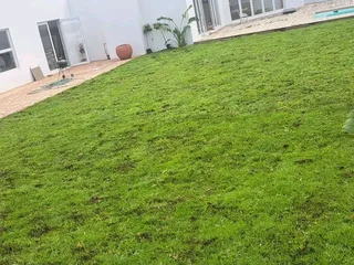 We are supply and installa buffalo grass