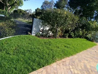 We are supply and installa buffalo grass