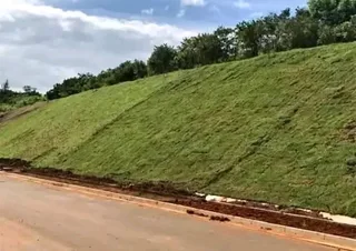 LM Berea grass Kikuyu grass and compost weed free supply and installa