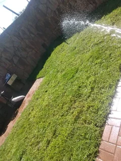 LM Berea grass Kikuyu grass and compost weed free supply and installa