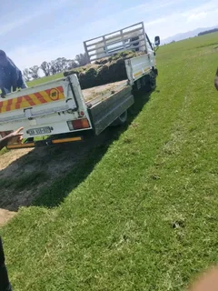 Green and fresh national grass