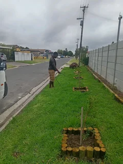 Green and fresh national grass