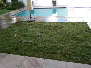 Roll on lawn Lm Berea grass &amp; topsoil and compost