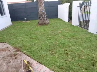 Roll on lawn Lm Berea grass &amp; topsoil and compost