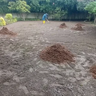 Roll on lawn Lm Berea grass &amp; topsoil and compost