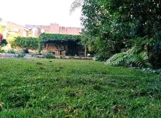 Supply and installa buffalo grass