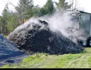 Supply and installa buffalo grass