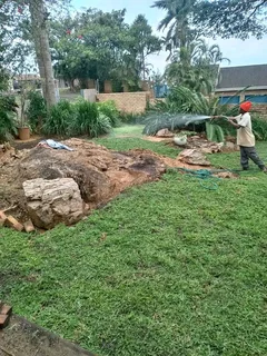 Supply and installa buffalo grass