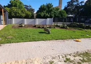 Fresh and green grass