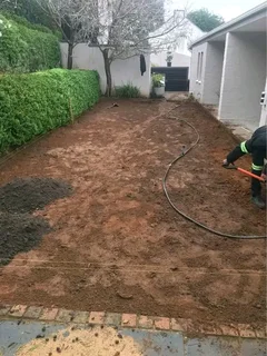 Roll on lawn Kikuyu grass and buffalo grass