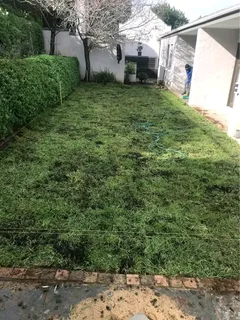 Roll on lawn Kikuyu grass and buffalo grass