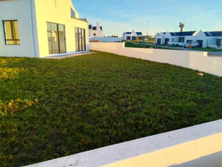 Roll on lawn Kikuyu grass