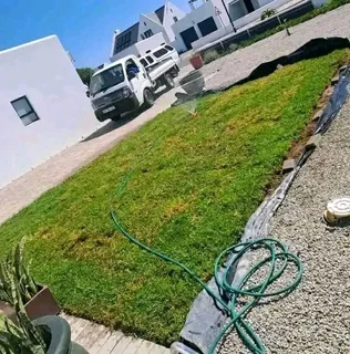 Roll on lawn Kikuyu grass