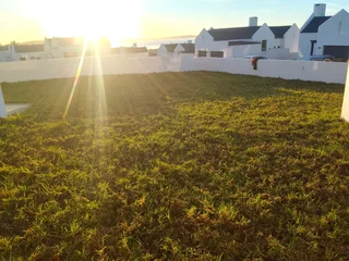 Supply and installa Kikuyu grass