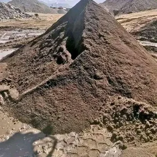 Roll on lawn buffalo grass and Lm Berea grass