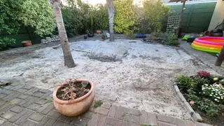 Eva green national grass