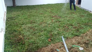 100% installa and delivery national grass