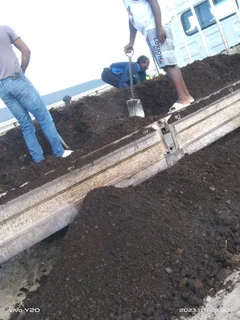 PROFESSIONALS WITH IMMENSE EXPERIENCE IN INSTALLATION &amp; LAYING NATIONAL GRASS